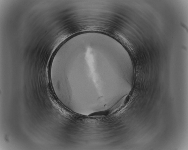 X0000095120892200801041221