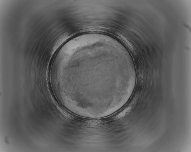 X0000095120893200801041221