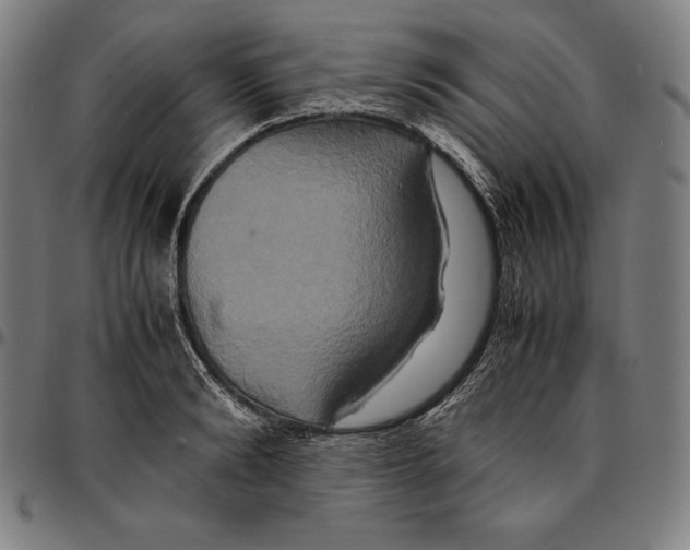 X0000095120894200801041221