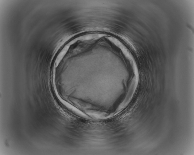 X0000095120895200801041221