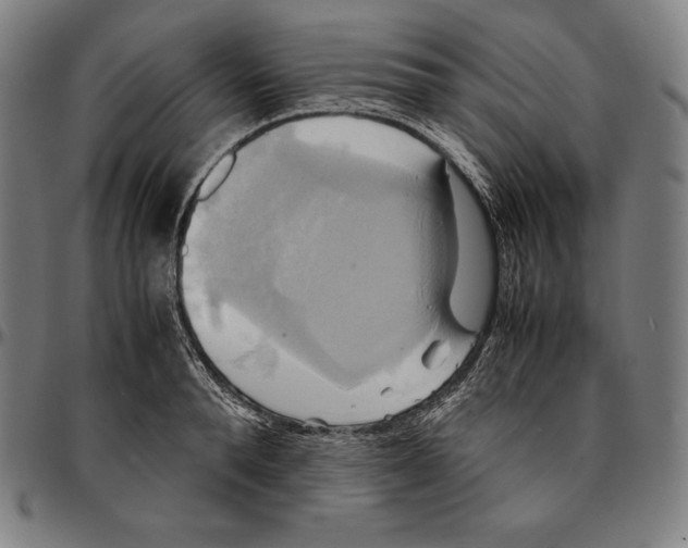 X0000095120896200801041221