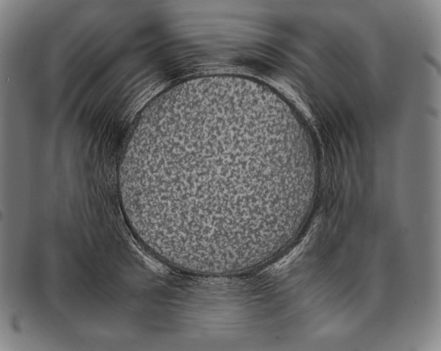 X0000095120897200801041221