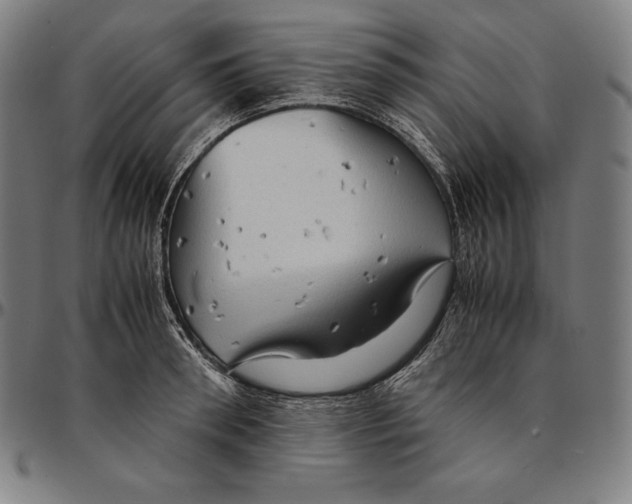 X0000095120898200801041221