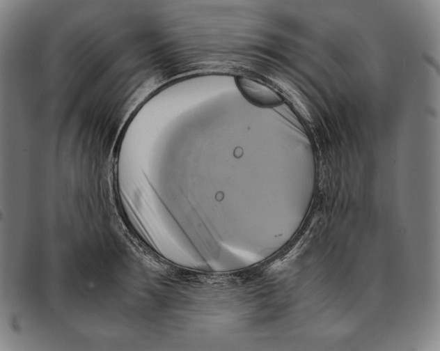 X0000095120899200801041221