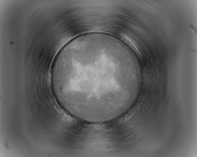 X0000095120900200801041221