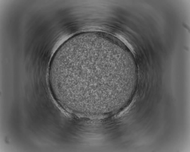 X0000095120901200801041221