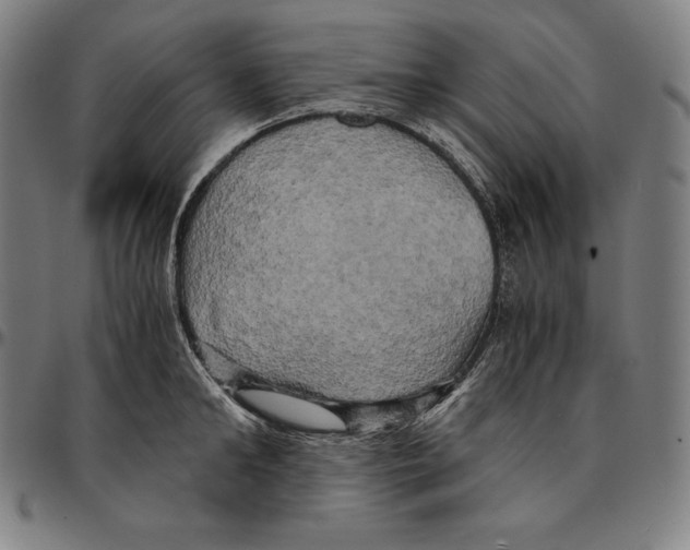 X0000095120902200801041221