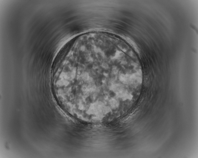 X0000095120903200801041221