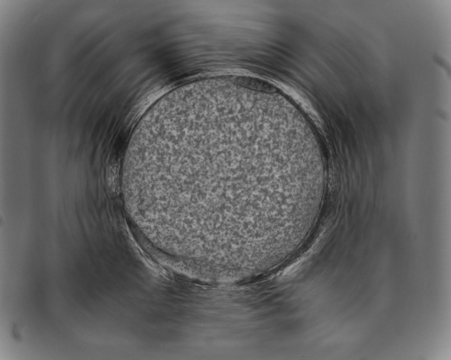 X0000095120905200801041220