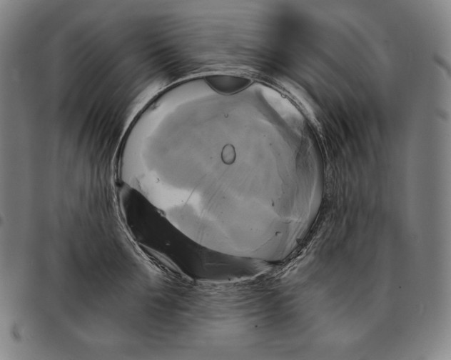 X0000095120907200801041220