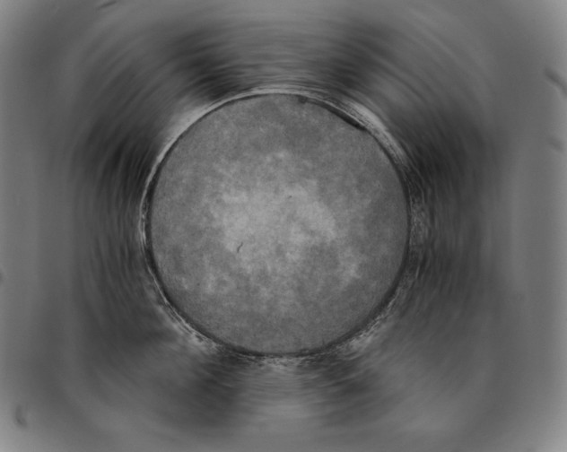 X0000095120908200801041220