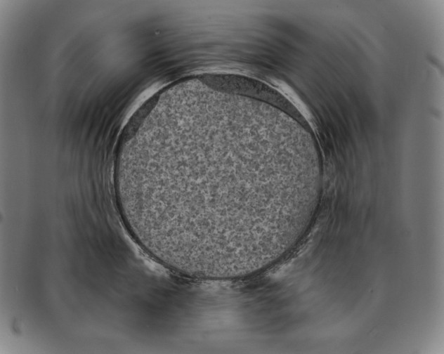 X0000095120909200801041220