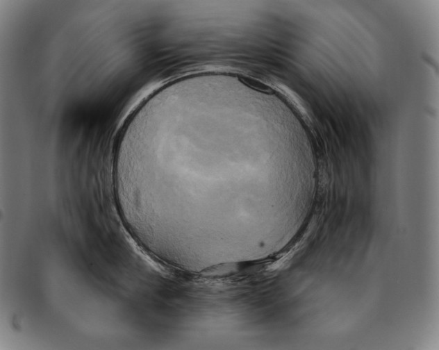 X0000095120910200801041220