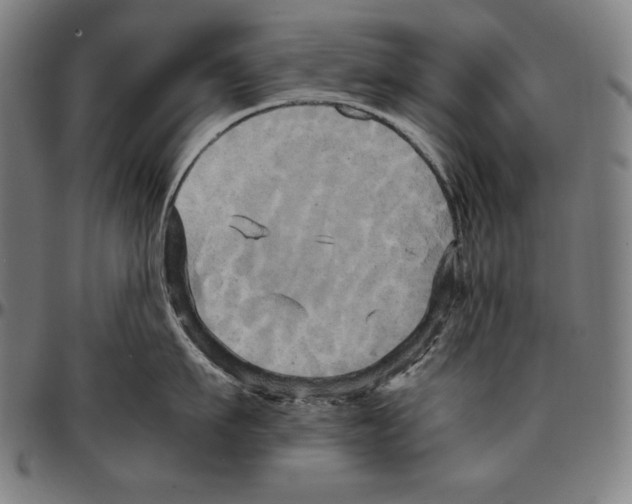 X0000095120911200801041220