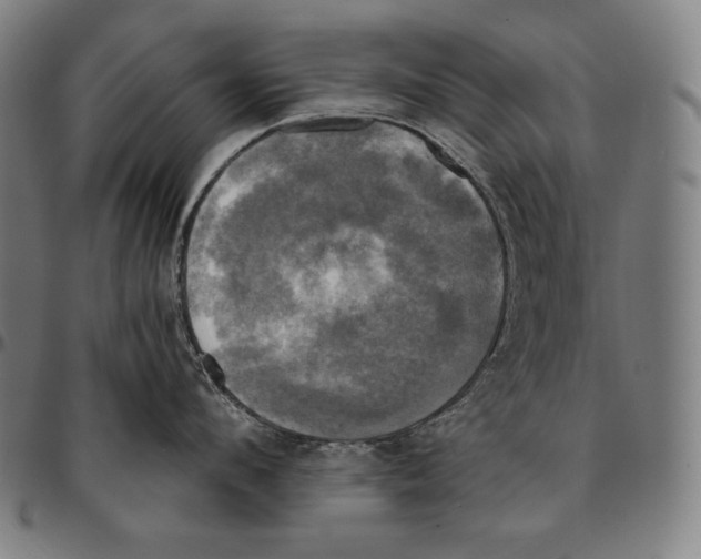 X0000095120912200801041220