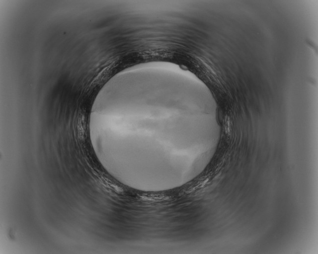 X0000095120915200801041220