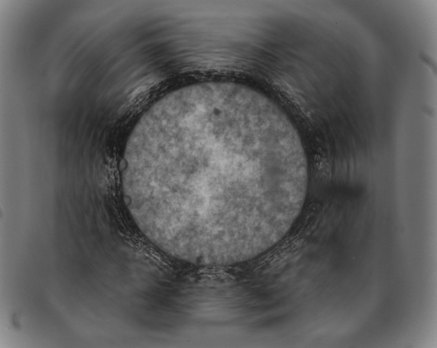 X0000095120918200801041220