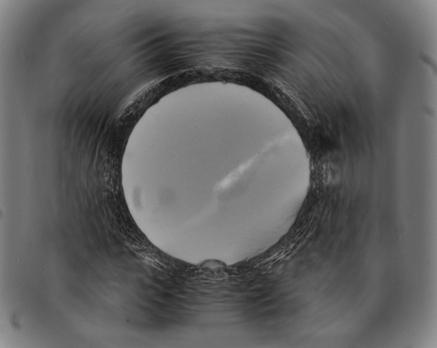 X0000095120919200801041220