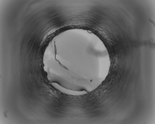 X0000095120920200801041220