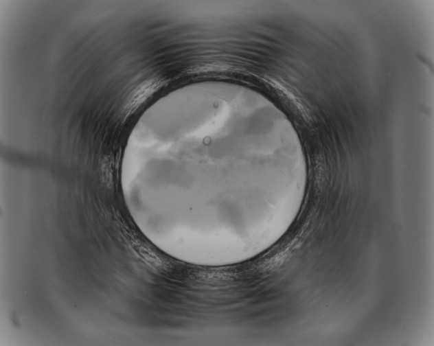 X0000095120921200801041220