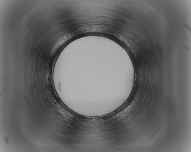 X0000095120922200801041220