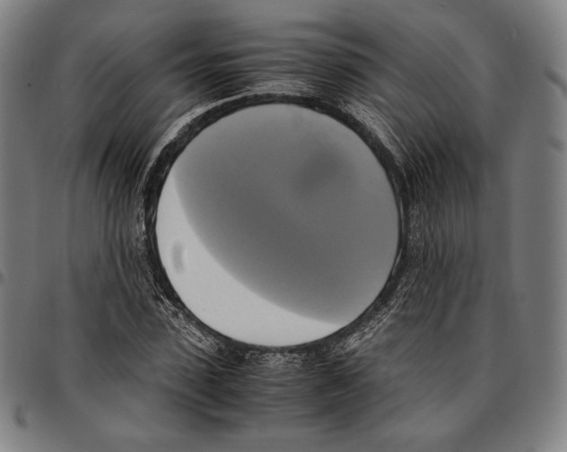 X0000095120923200801041220