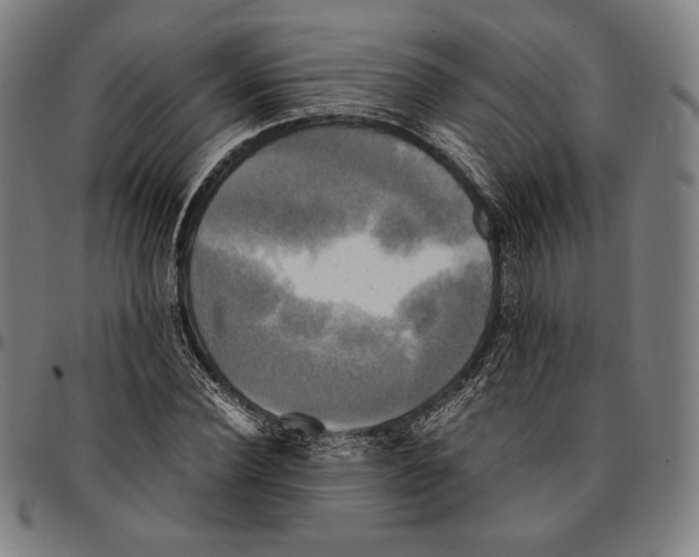 X0000095120924200801041220