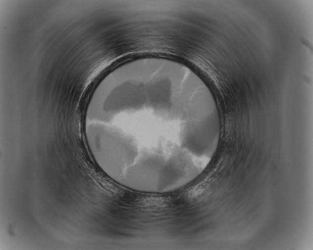 X0000095120925200801041220