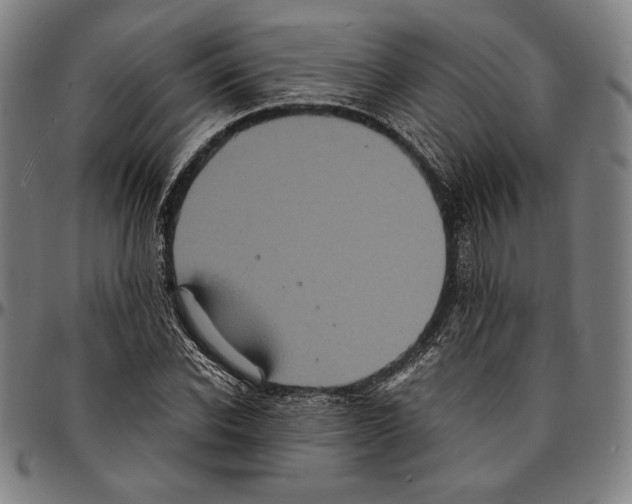 X0000095120926200801041220