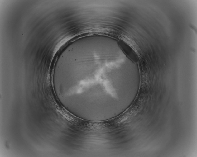 X0000095120928200801041220