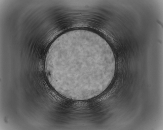 X0000095120929200801041220