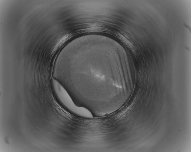 X0000095120930200801041220