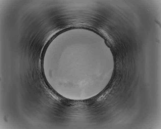 X0000095120932200801041220