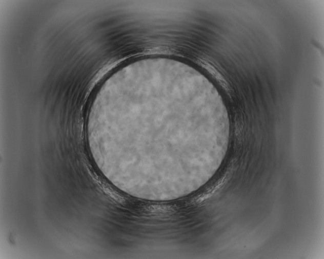 X0000095120933200801041220