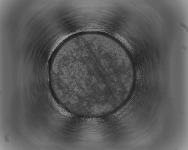 X0000095120934200801041220