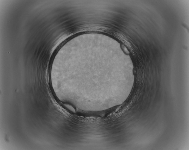 X0000095120936200801041220