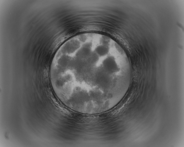 X0000095120937200801041220