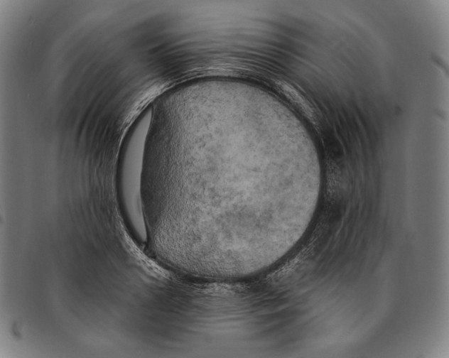 X0000095120938200801041220