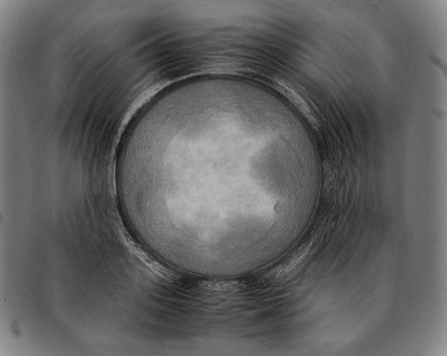 X0000095120939200801041220