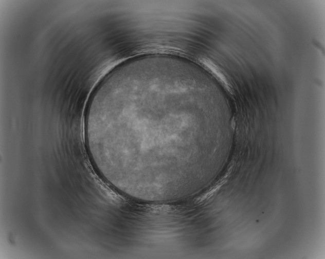 X0000095120940200801041220