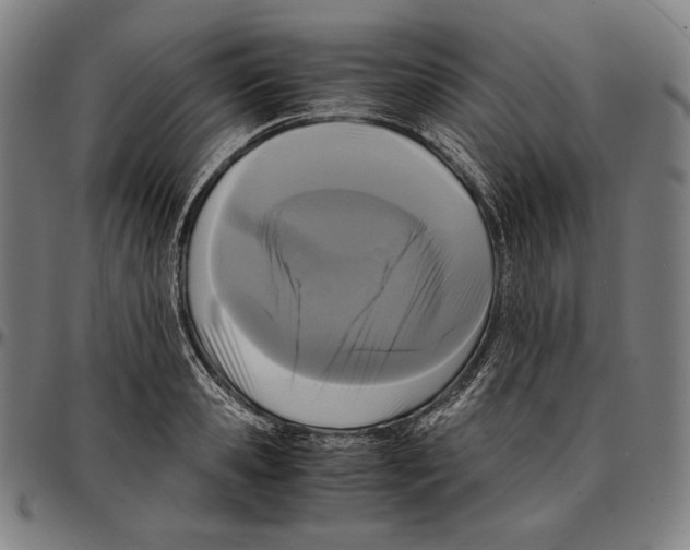 X0000095120941200801041220