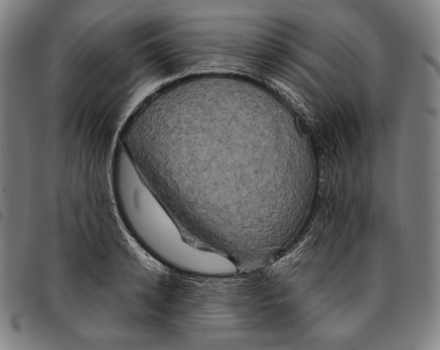 X0000095120942200801041220