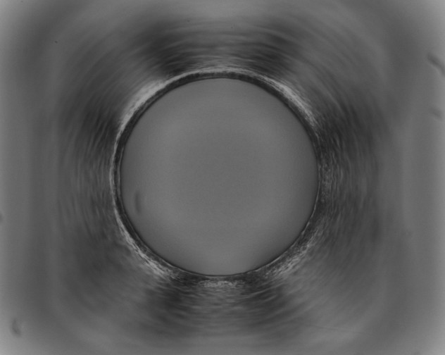 X0000095120943200801041220