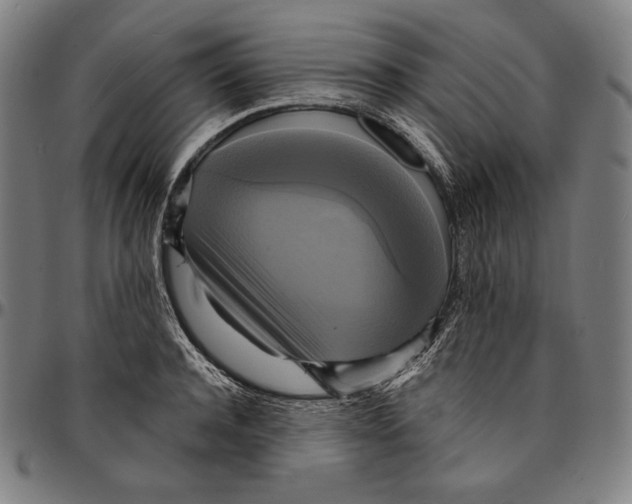 X0000095120944200801041220