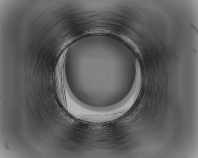 X0000095120945200801041220