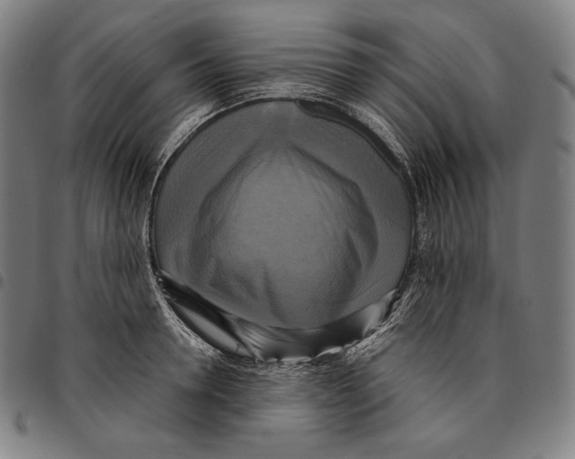 X0000095120946200801041220