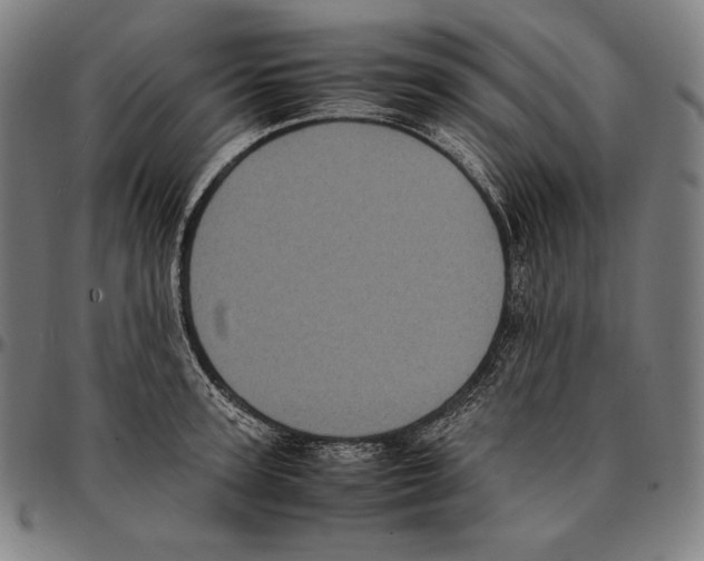 X0000095120947200801041220