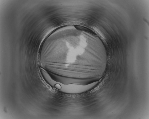 X0000095120948200801041220