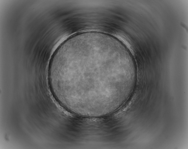 X0000095120949200801041220