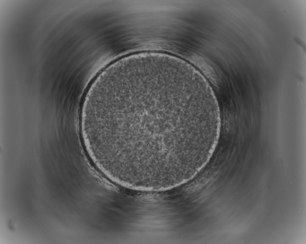 X0000095120950200801041220